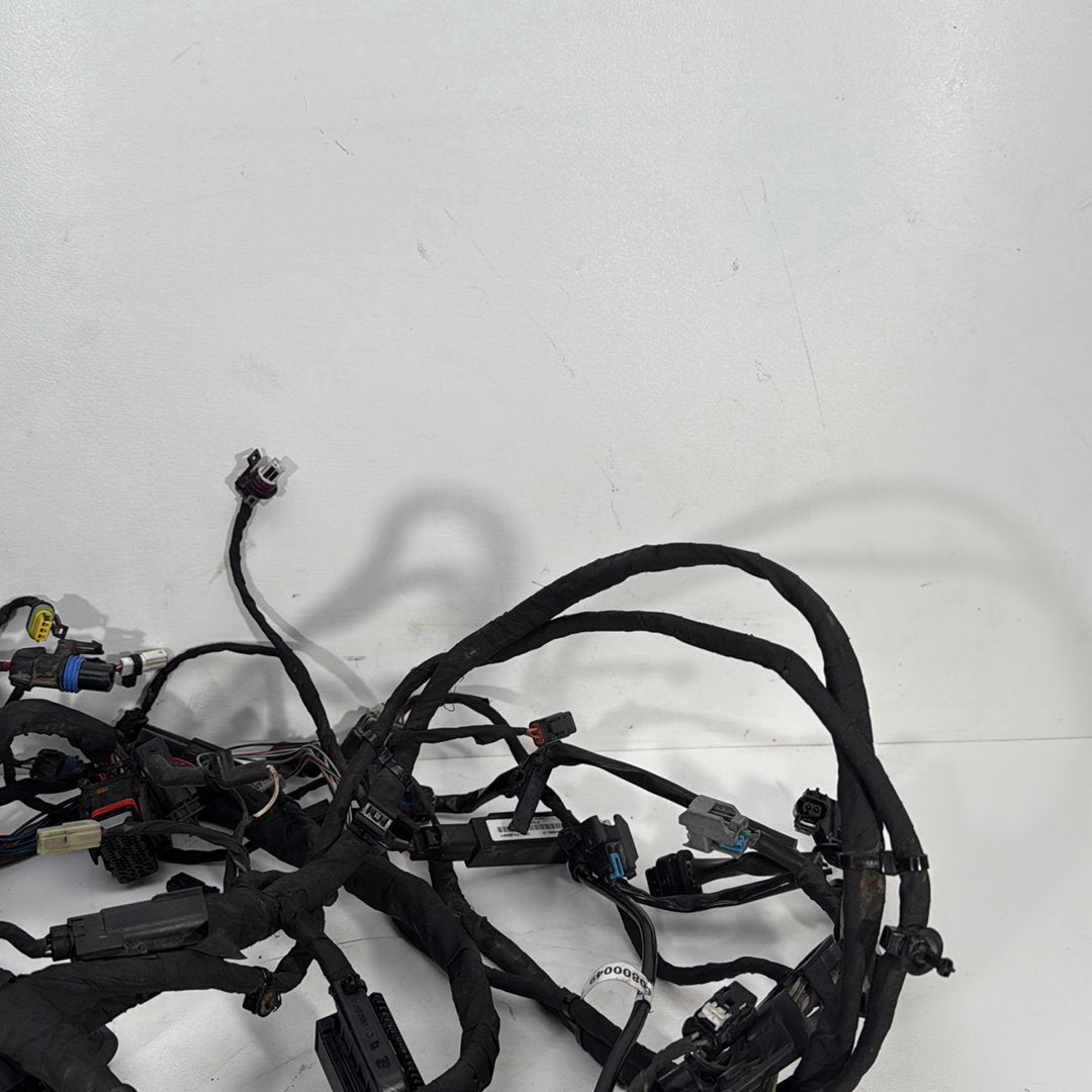 2017 - 2026 Harley-Davidson Softail Heritage Classic 114 Main Wire Wiring Harness Loom ABS 69201492
