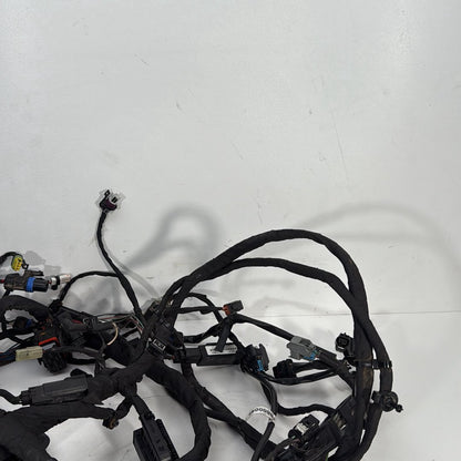 2017 - 2026 Harley-Davidson Softail Heritage Classic 114 Main Wire Wiring Harness Loom ABS 69201492