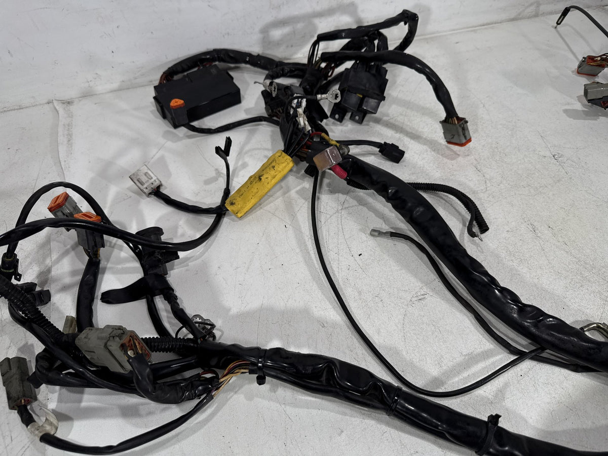 2002 Harley Electra Glide Touring Classic OEM Main Wire Wiring Harness Loom CARB