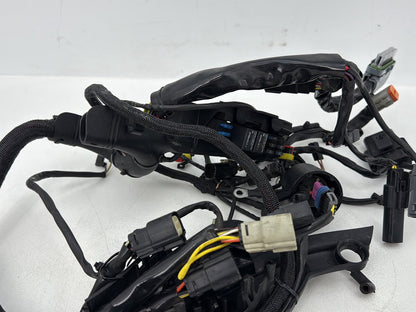 2004 - 2013 Harley-Davidson Sportster 883 Custom Main Wire Wiring Harness Ignition Switch NOKey  	70181-07
