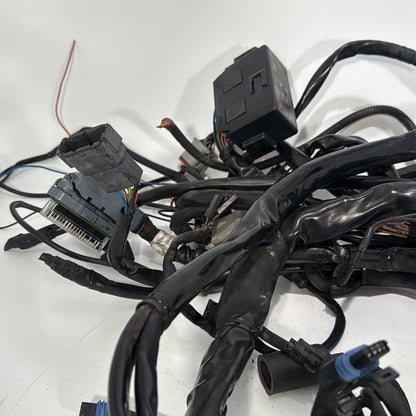 1999 - 2006 Harley-Davidson Touring Electra Glide Classic Main Wire Wiring Harness Loom  	70985-04