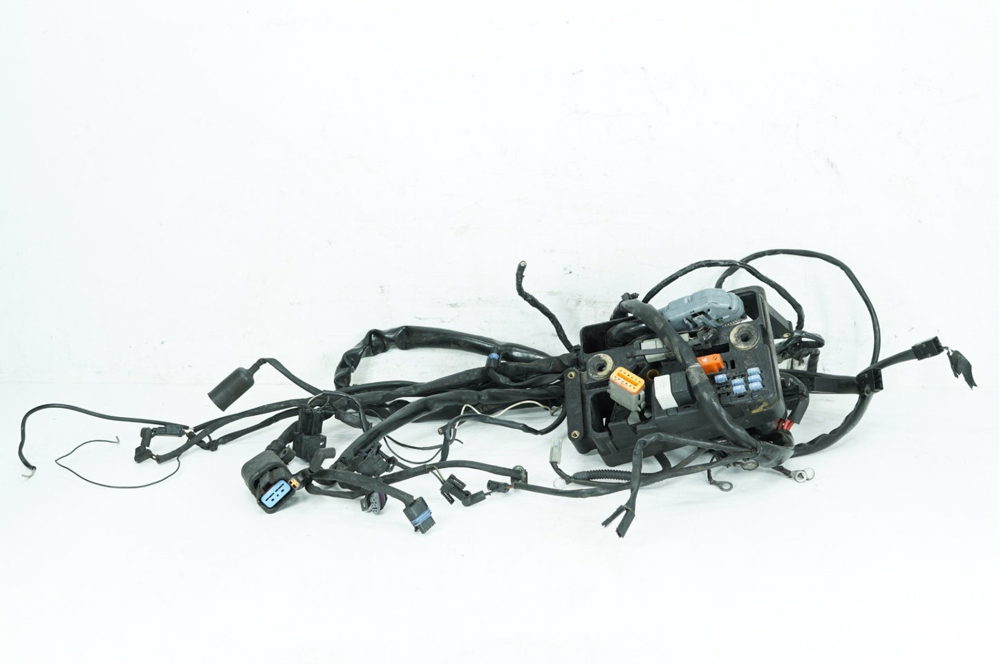 1999 - 2006 Harley-Davidson Dyna Low Rider Main Wire Wiring Harness Loom 69602-04A