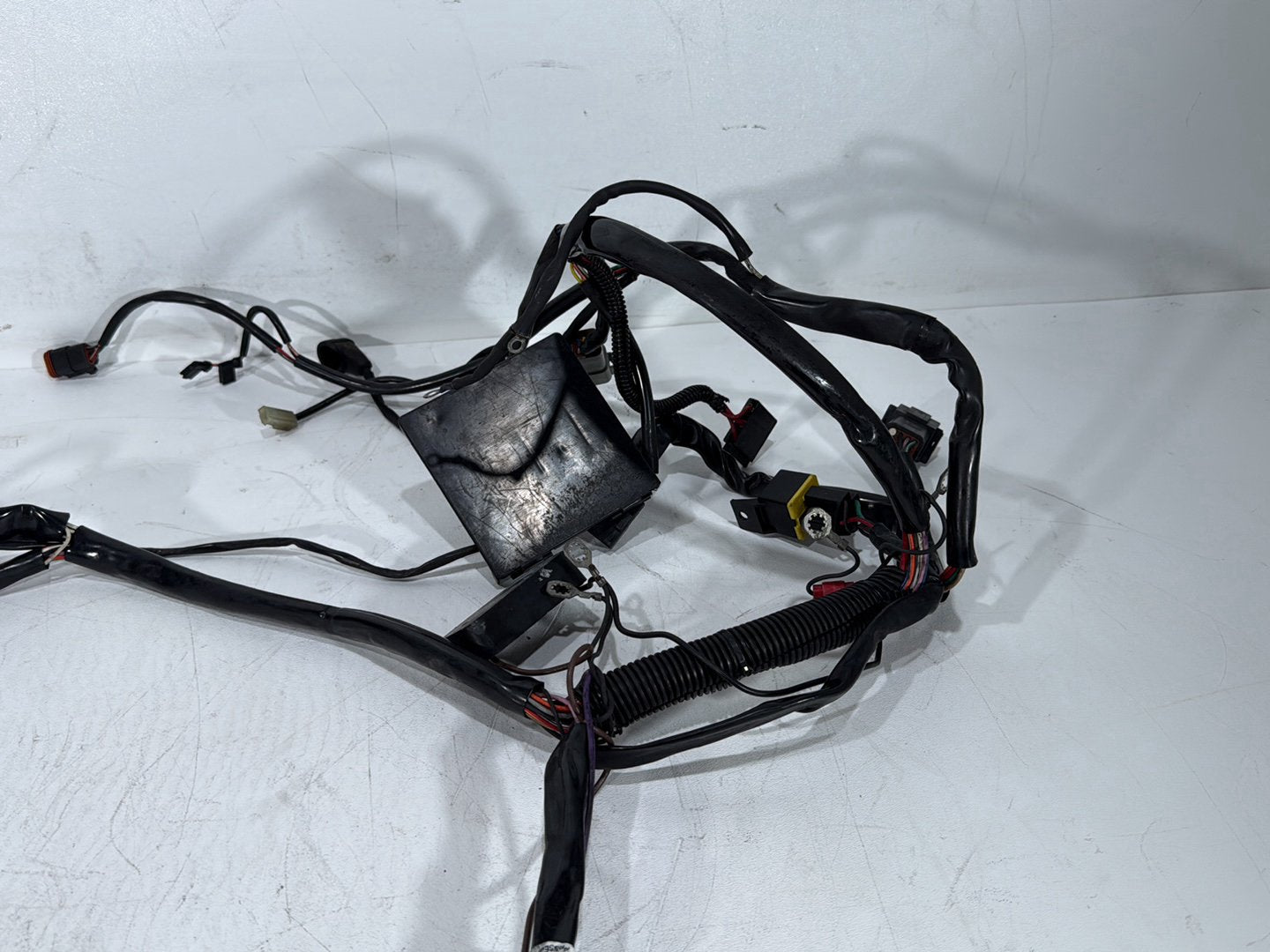 1998 Harley Softail Custom FXSTC OEM Main Wire Wiring Harness Loom