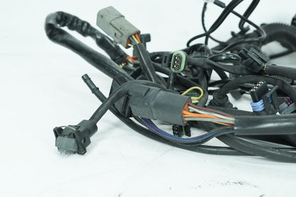 1999 - 2006 Harley-Davidson Softail Heritage Main Wire Wiring Harness Loom 70216-04A