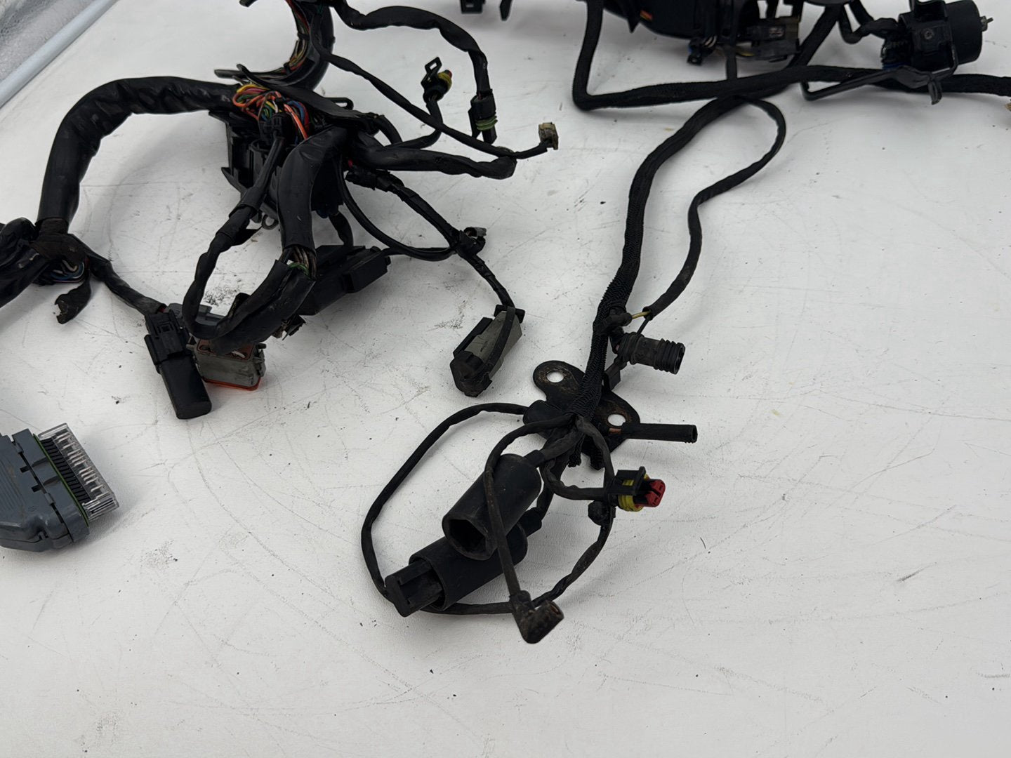 2009 Harley Sportster XL1200 1200 Main Wire Wiring Harness Ignition Switch NOKey