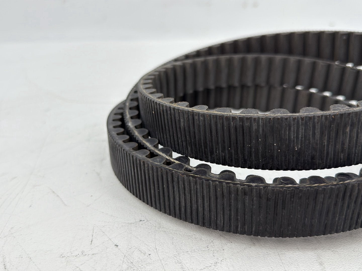 2004 - 2013 Harley-Davidson Sportster 1200 Custom Rear Drive Belt 40571-04B
