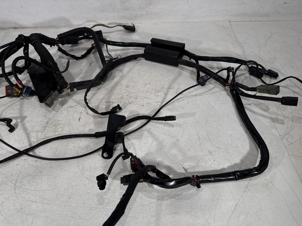 01 Harley Heritage Softail Classic FLSTC OEM Main Wire Wiring Harness Loom CARB