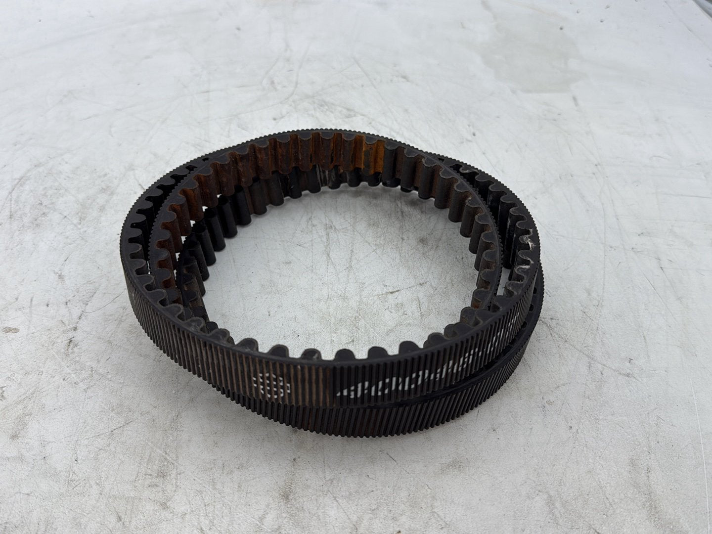 2012 Harley Dyna FXDF Fat Bob OEM Rear Drive Belt