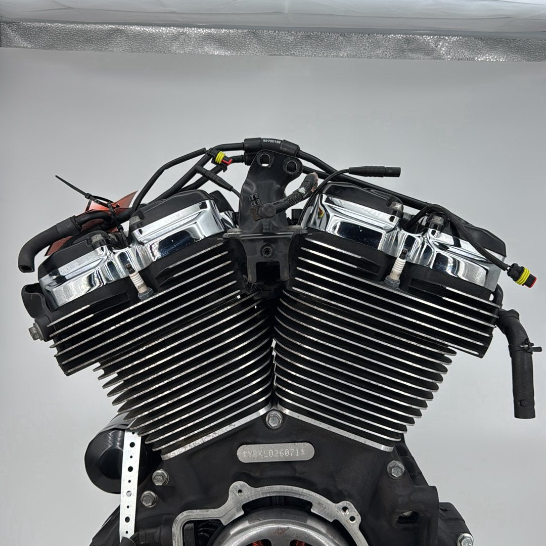 2017 - 2026 Harley-Davidson Softail Heritage Classic 114 EFI Milwaukee M8 114 Engine Motor 16200655