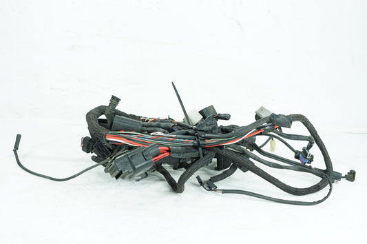 2004 - 2022 Harley-Davidson Sportster SuperLow Main Wire Wiring Harness Loom NON-abs 69200072B