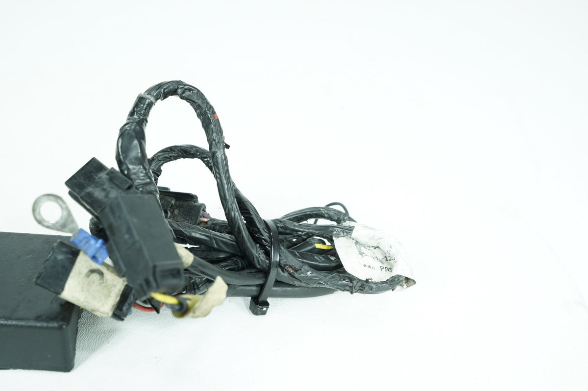 2012 Harley-Davidson Touring FLHX - Security Alarm Control Module Siren