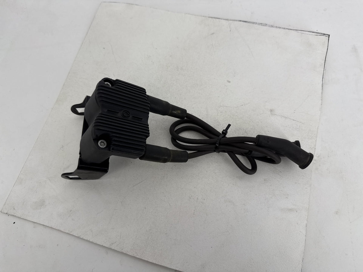 2007 Harley Electra Glide Touring CVO Eagle OEM Ignition Coil Spark Plugs Cable