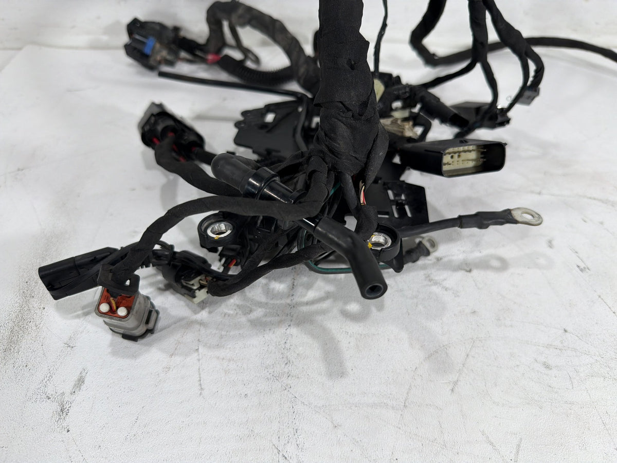 2020 Harley Softail Standard FXST OEM Main Wire Wiring Harness Loom NON-abs