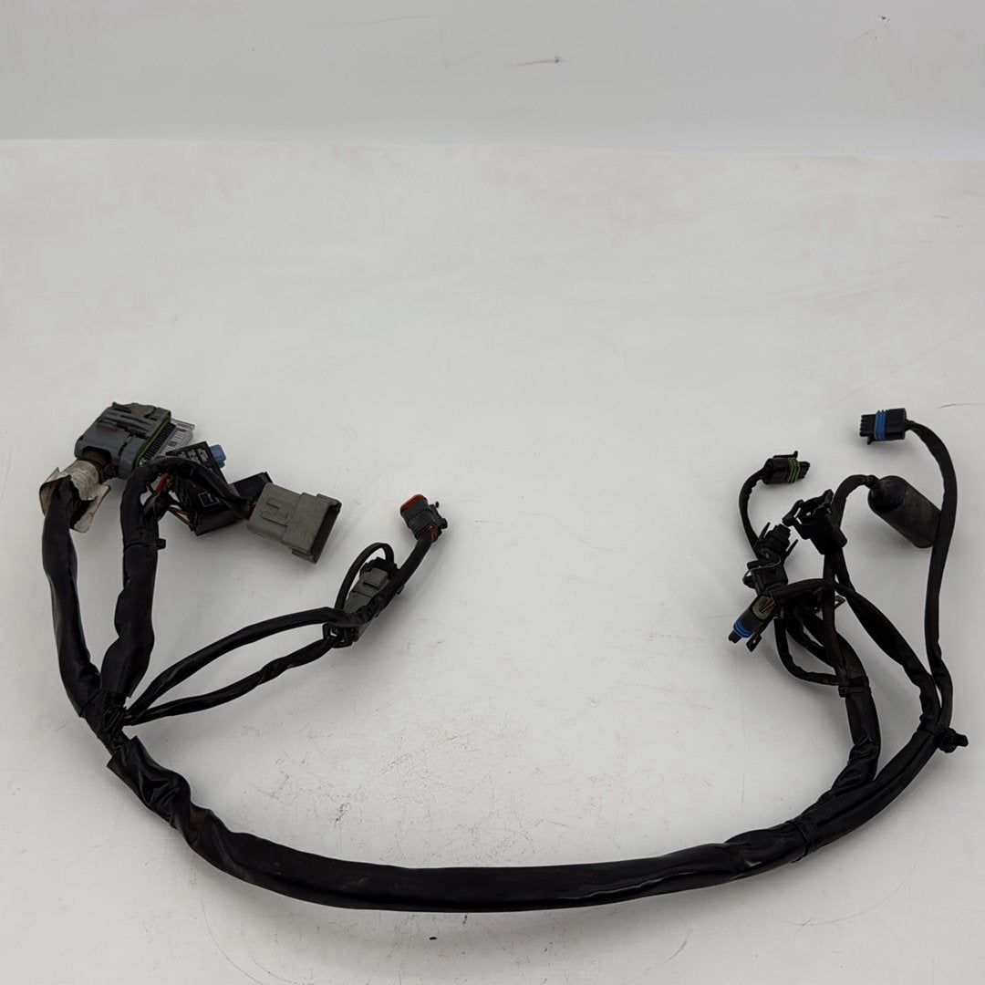 1999 - 2006 Harley-Davidson Touring Road King Custom EFI Fuel Injector Engine Wiring Wire Harness 70233-04A