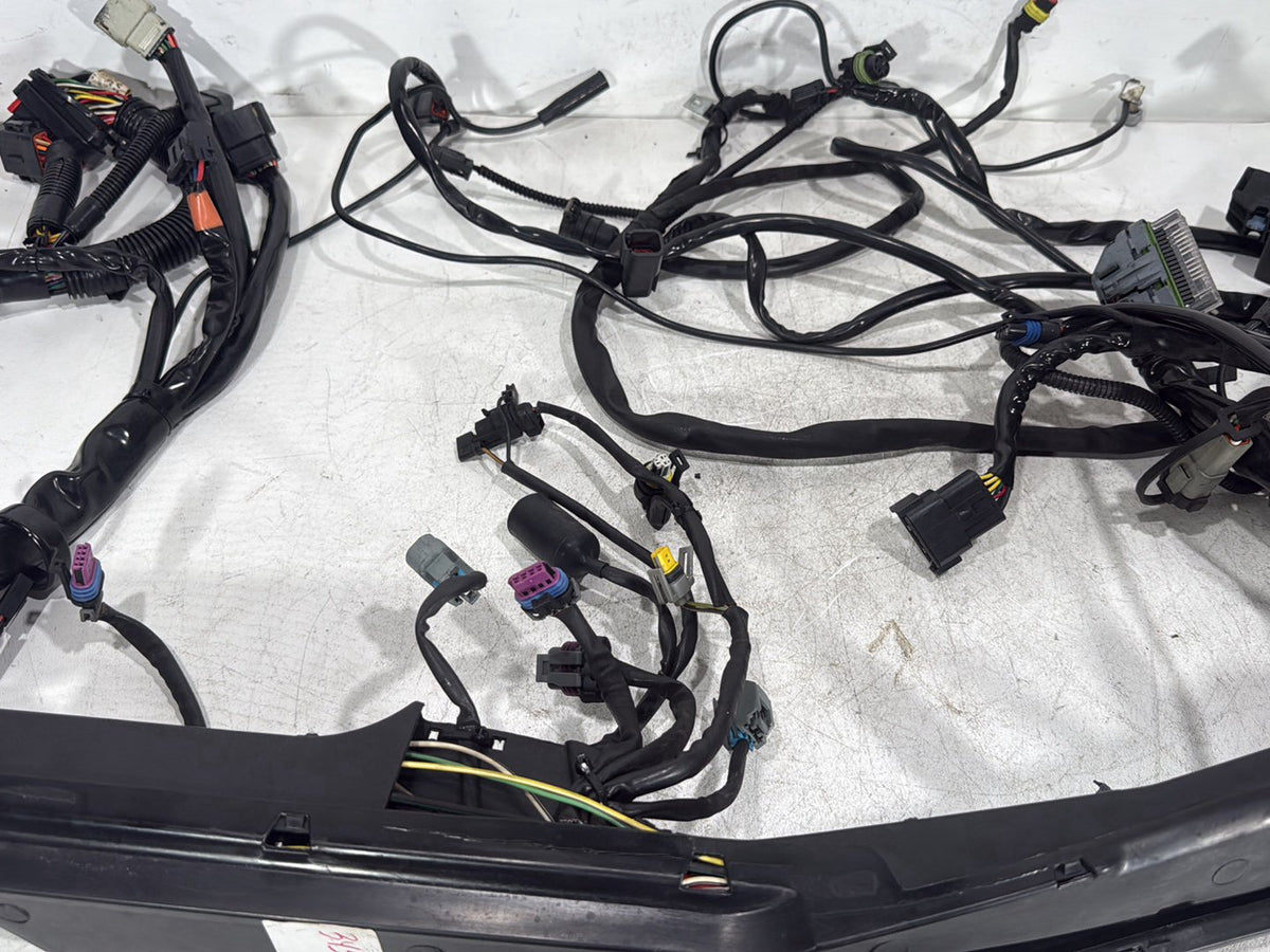 2007 Harley Electra Glide Touring Ultra OEM Main Wire Wiring Harness Loom