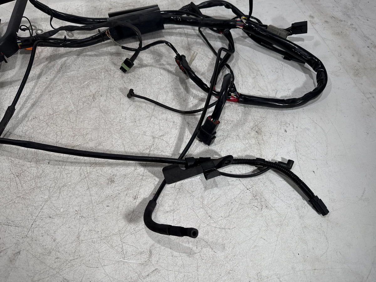 2001 Harley Fat Boy Softail FLSTF OEM Main Wire Wiring Harness Loom CARB
