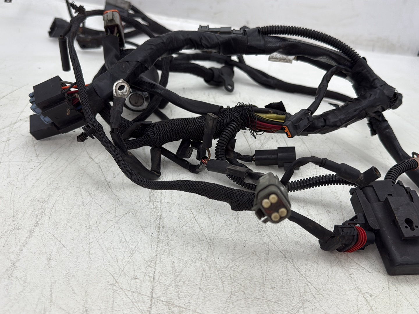 2004 Harley Sportster XL883C 883 Custom OEM Main Wire Wiring Harness Ignition Switch NOKey