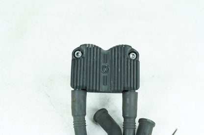 1999 - 2006 Harley-Davidson Touring Electra Glide Classic Ignition Coil Spark Plugs Cable 31743-01