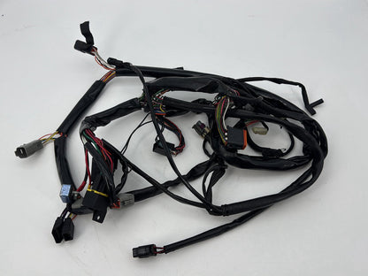 1999 - 2006 Harley-Davidson Dyna Low Rider Main Wire Wiring Harness Loom
