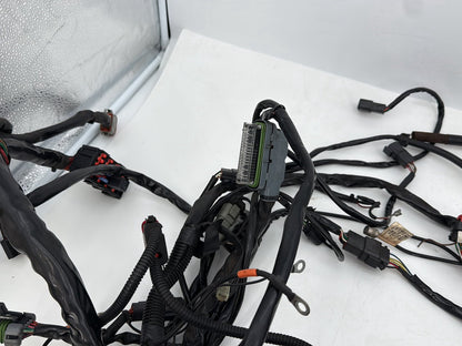 1999 - 2006 Harley-Davidson Touring Electra Glide Ultra Main Wire Wiring Harness Loom 71000-06