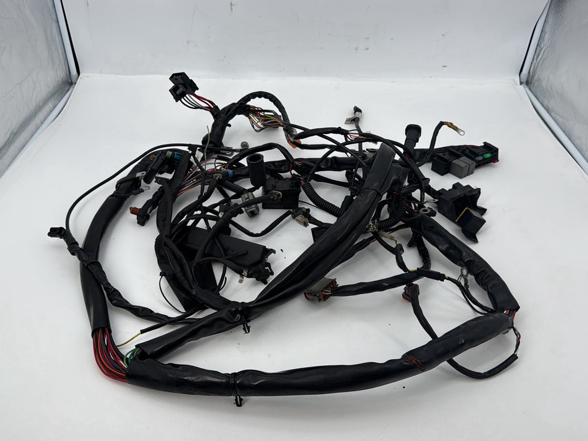 1999 - 2006 Harley-Davidson Touring Electra Glide Classic Main Wire Wiring Harness Loom 70985-01