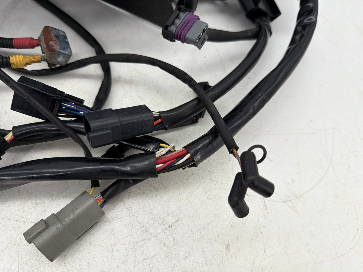 2001 Harley Softail Deuce FXSTD OEM Main Wire Wiring Harness Loom CARB