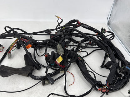 1999 - 2006 Harley-Davidson Touring Electra Glide Classic Main Wire Wiring Harness Loom 70985-01