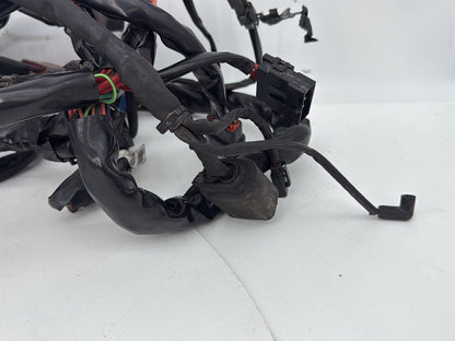 1999 - 2006 Harley-Davidson Dyna Low Rider Main Wire Wiring Harness Loom 69602-04A