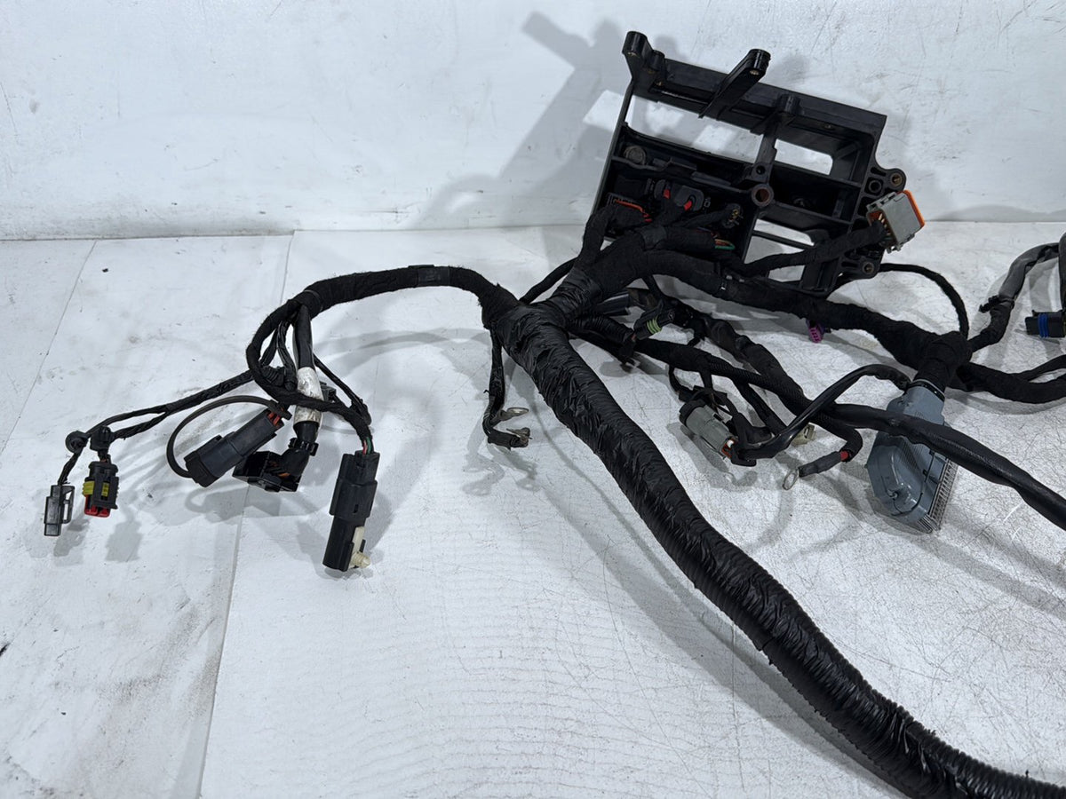 2009 Harley Dyna Street Bob FXDB OEM Main Wire Wiring Harness Loom