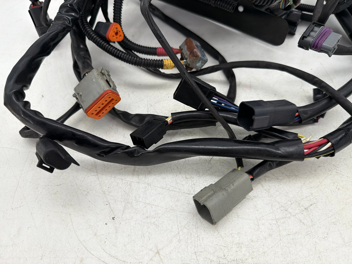 2001 Harley Softail Deuce FXSTD OEM Main Wire Wiring Harness Loom CARB