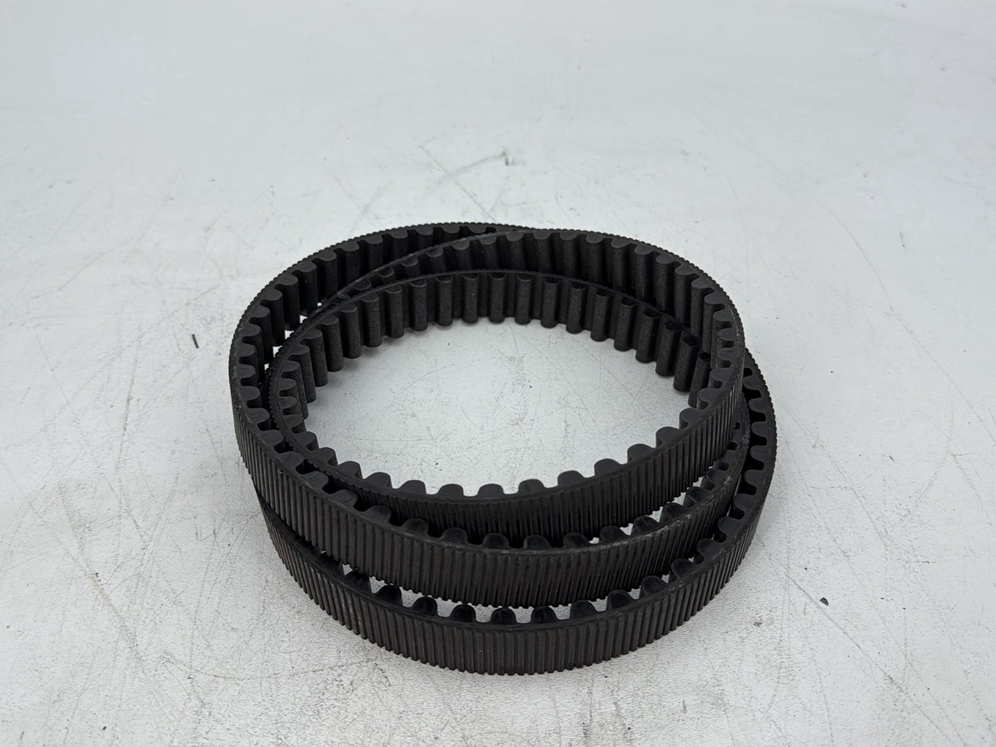 2009 Harley Sportster 883 Low XL883L OEM Rear Drive Belt