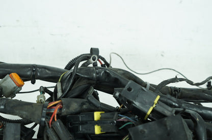 1999 - 2006 Harley-Davidson Touring Road King Police Main Wire Wiring Harness Loom 70245-99