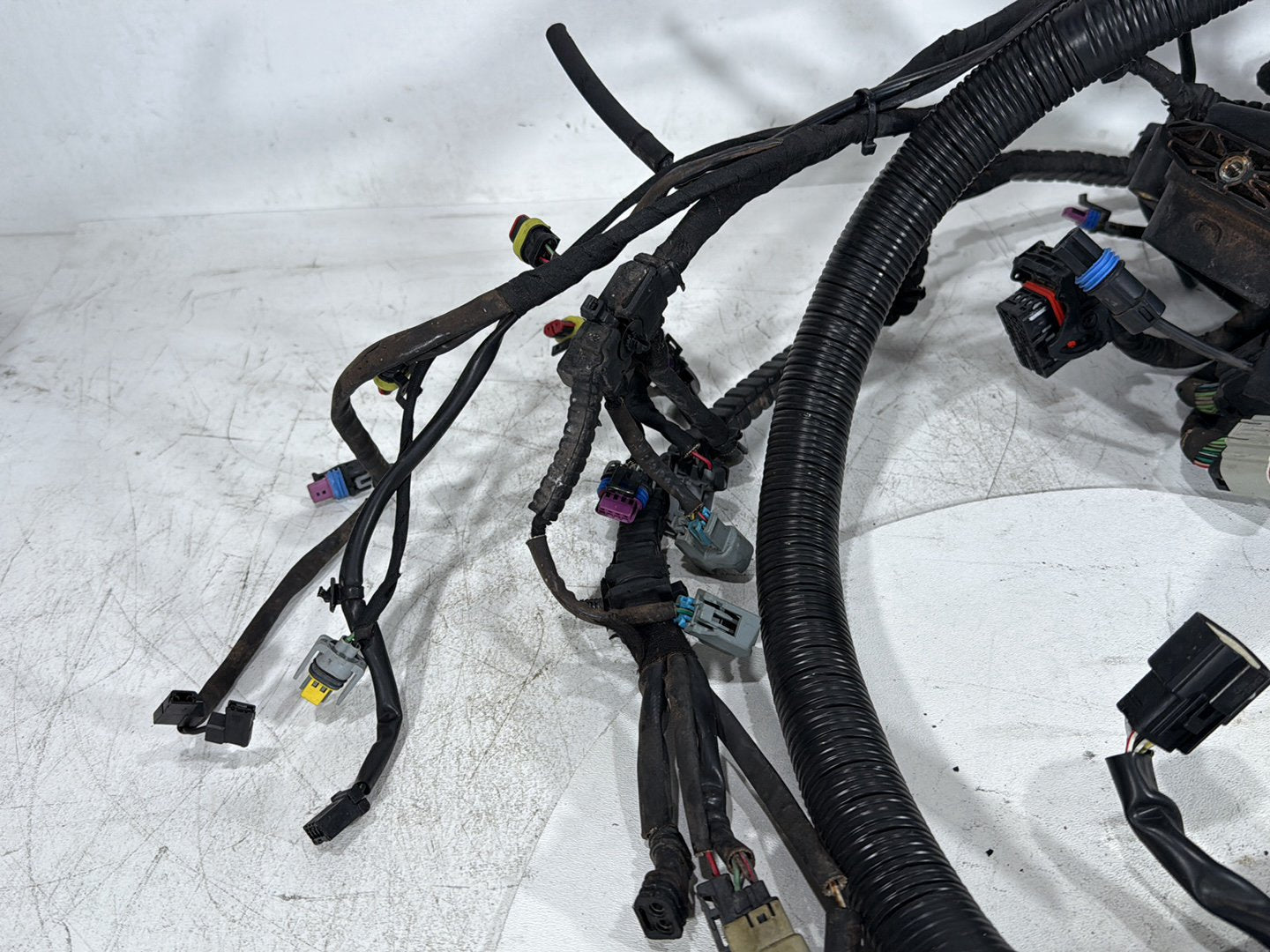 2012 Harley Dyna FXDF Fat Bob OEM Main Wire Wiring Harness Loom