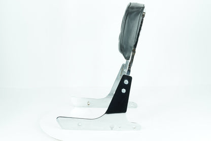 2013 - 2022 Harley-Davidson Sportster Custom Rear Sissy Bar w/ Backrest Cushion Pad 52866-06