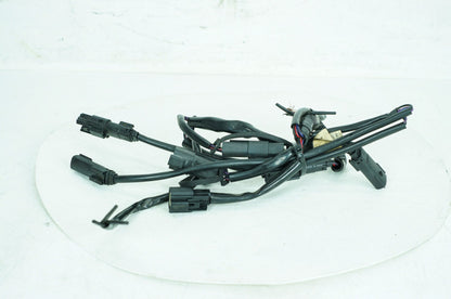 2017 - 2025 Harley-Davidson Touring Electra Glide Ultra Wire Wiring Harness Plug In Connectors