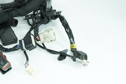 2008 - 2016 Harley-Davidson Touring Electra Glide Ultra Main Wire Wiring Harness Loom ABS 69200118