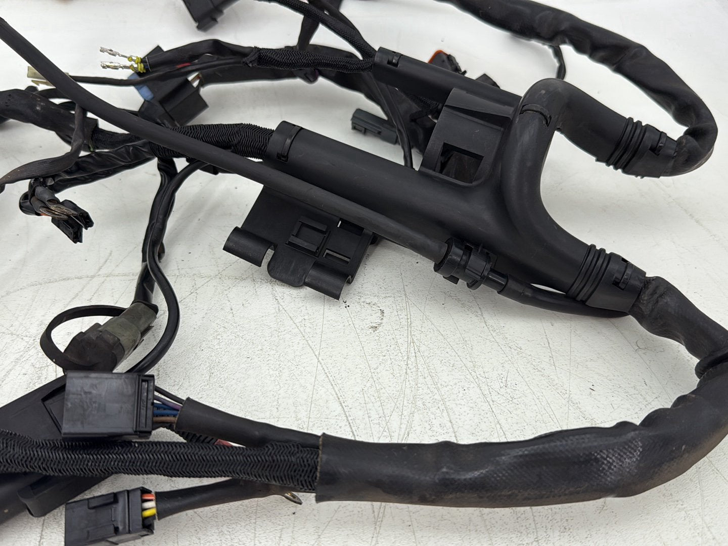 2006 Harley Sportster XL883L Low Main Wire Wiring Harness Ignition Switch NOKey
