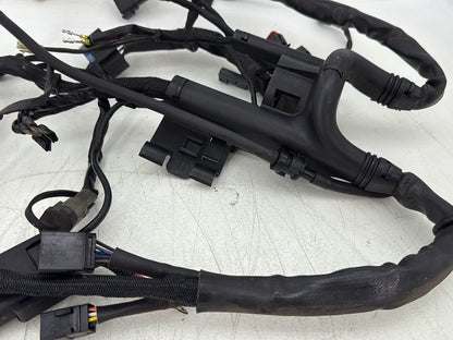 2006 Harley Sportster XL883L Low Main Wire Wiring Harness Ignition Switch NOKey