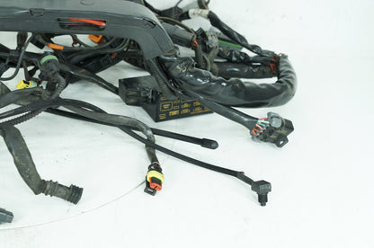 2007 - 2012 Harley-Davidson Touring Electra Glide Main Wire Wiring Harness Loom 70985-07