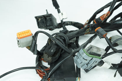 1999 - 2006 Harley-Davidson Touring Electra Glide Classic Main Wire Wiring Harness Loom  	70985-03