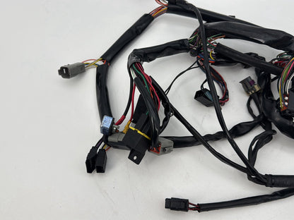 1999 - 2006 Harley-Davidson Dyna Low Rider Main Wire Wiring Harness Loom