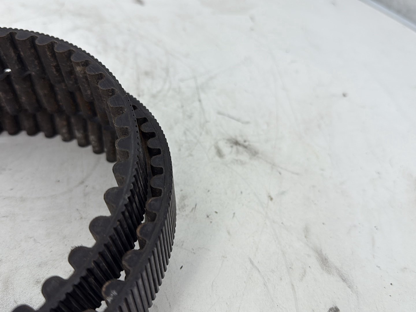 2002 Harley Heritage Softail Classic FLSTC OEM Rear Drive Belt