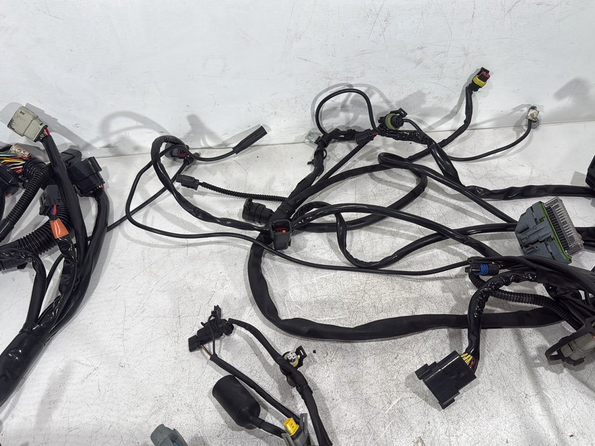 2007 Harley Electra Glide Touring Ultra OEM Main Wire Wiring Harness Loom