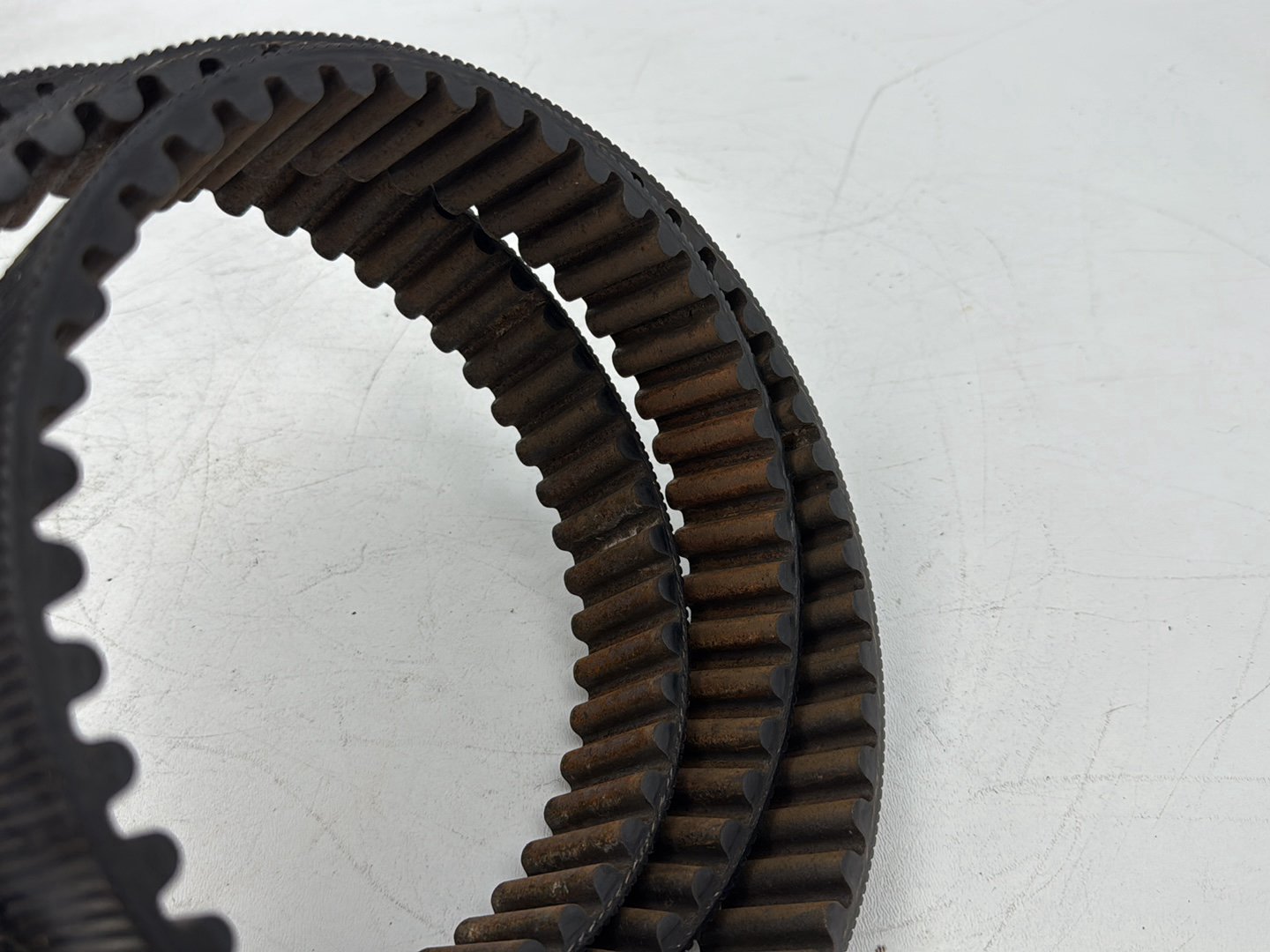 1999 - 2006 Harley-Davidson Touring Electra Glide Classic Rear Drive Belt