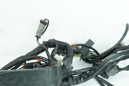 1999 - 2006 Harley-Davidson Touring Road King Main Wire Wiring Harness Loom 70245-06