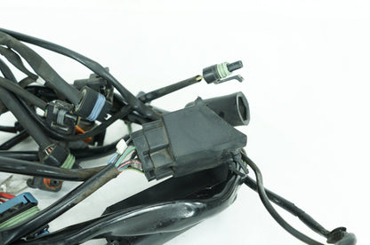 1999 - 2006 Harley-Davidson Touring Electra Glide Ultra Main Wire Wiring Harness Loom 70985-00