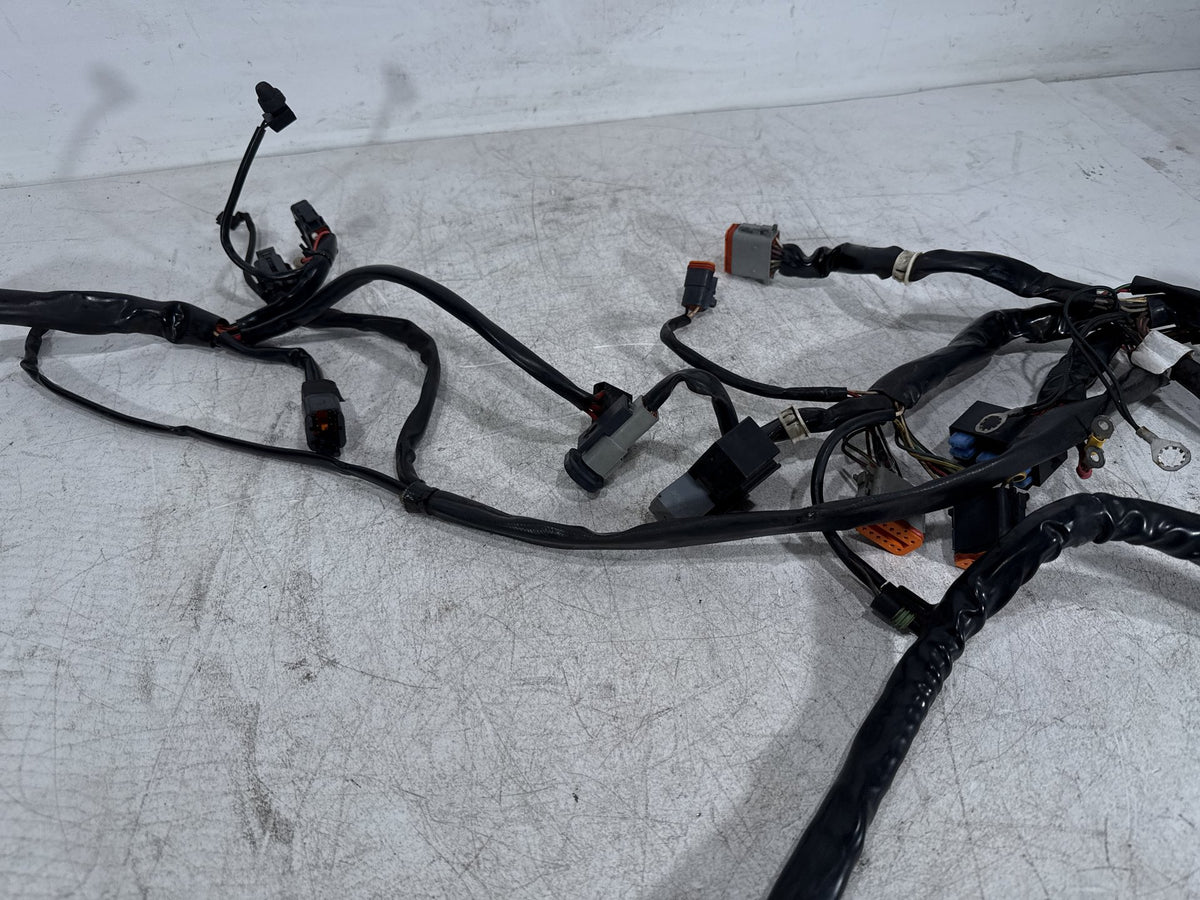 2002 Harley Dyna Wide Glide FXDWG OEM Main Wire Wiring Harness Loom CARB