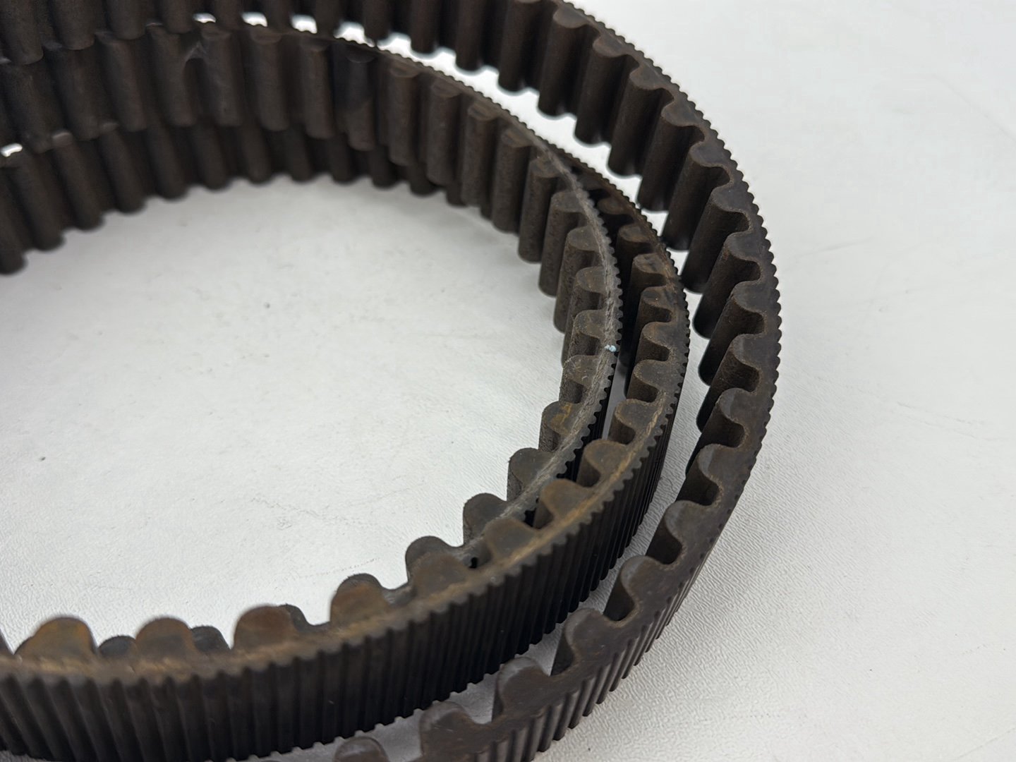 2004 - 2013 Harley-Davidson Sportster 883 Custom Rear Drive Belt 40570-04
