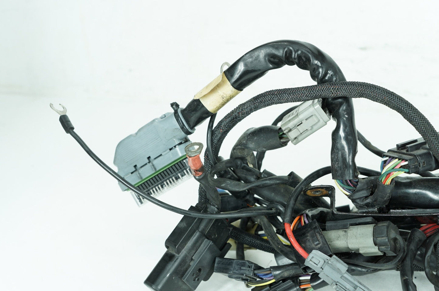 2004 - 2022 Harley-Davidson Sportster 883 Main Wire Wiring Harness Loom 70181-07