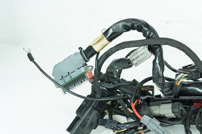 2004 - 2022 Harley-Davidson Sportster 883 Main Wire Wiring Harness Loom 70181-07
